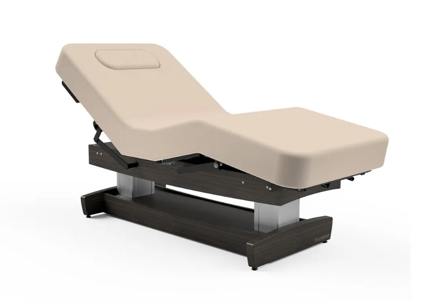 Oakworks PerformaLift Comfortable Treatment Table with Removable Padding