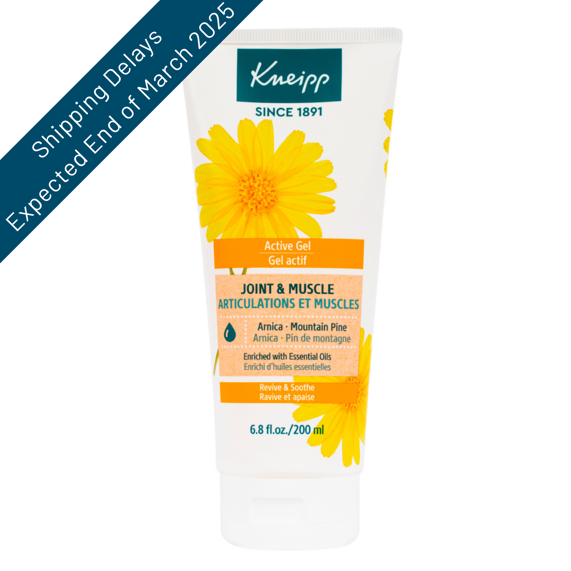 Kneipp Natural Arnica & Mountain Pine Active Gel for Joints and Muscles