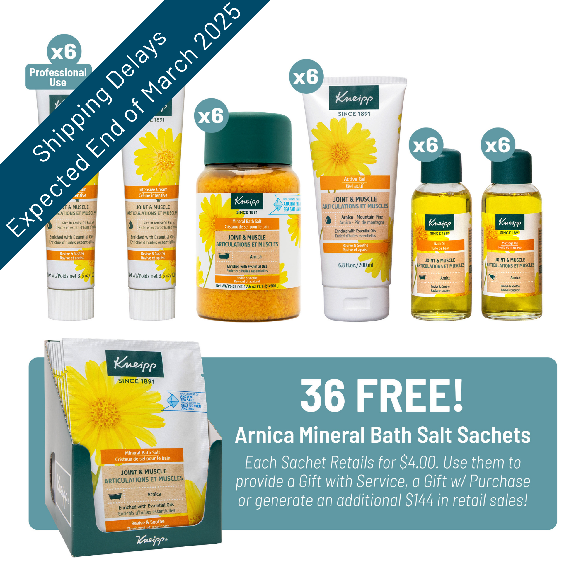 Kneipp All - in - One Arnica Starter Kit for Joint and Muscle Relief