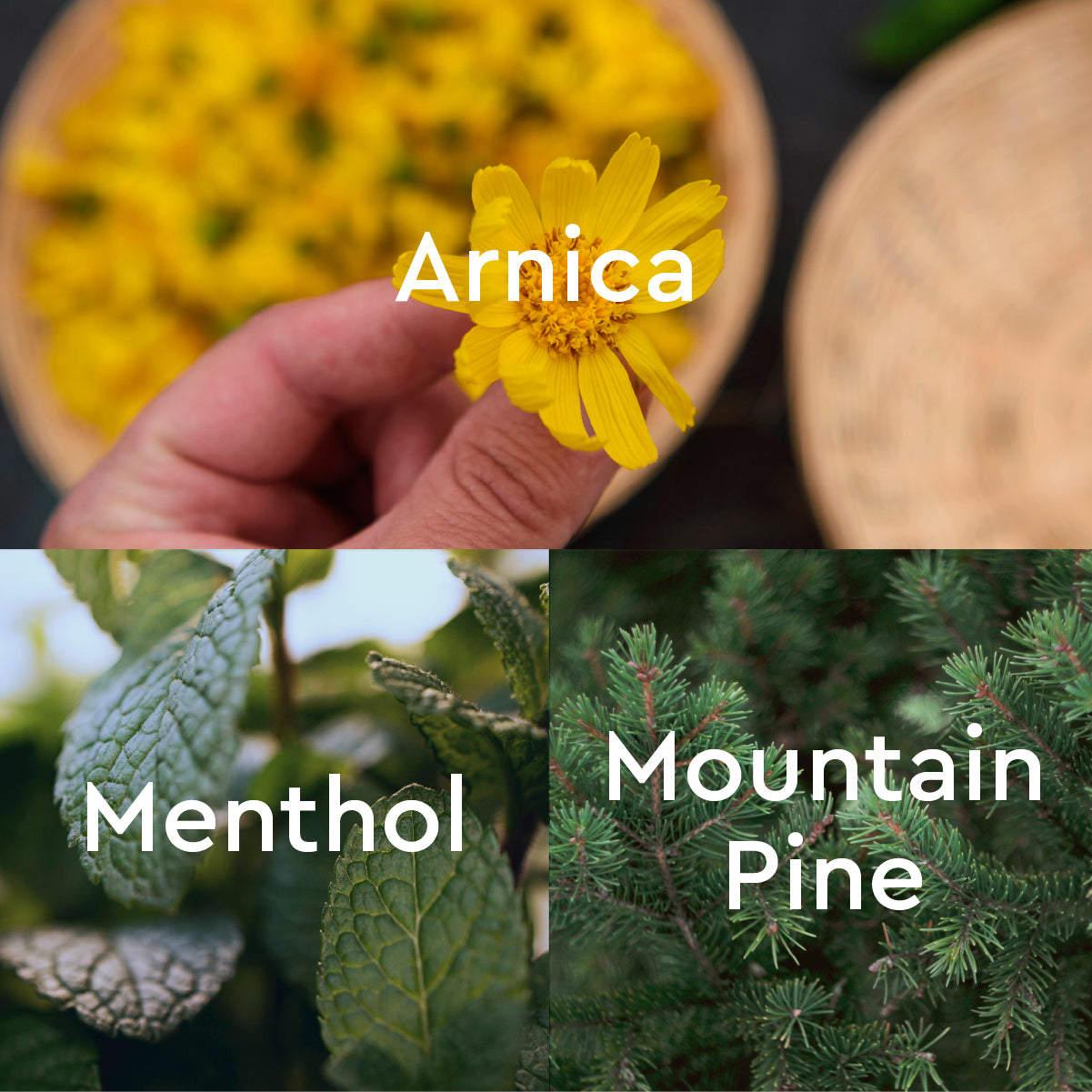 Kneipp Natural Arnica & Mountain Pine Active Gel for Joints and Muscles