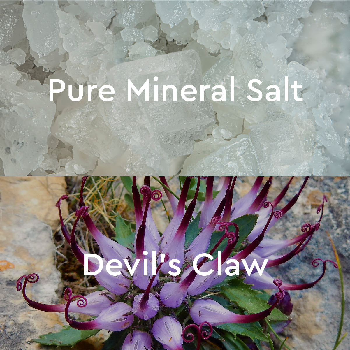 Kneipp Devil's Claw Mineral Bath Salt for Back and Neck Relief